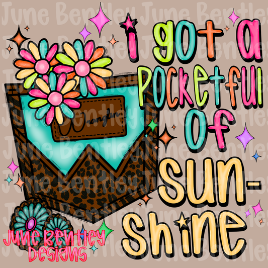 I got a pocketful of sunshine digital download